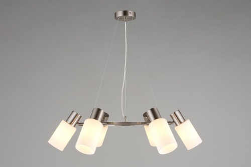 Подвесная люстра Omnilux Ales OML-69113-06 в Нижнем Новгороде фото 7