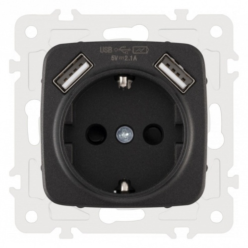Розетка с заземлением и со шторкой и 2хUSB, без рамки Arte Milano am-205 205.47-1.black в Нижнем Новгороде