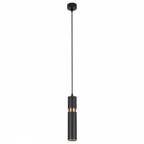 Подвесной светильник Arte Lamp Ran A3145SP-1BK в Нижнем Новгороде фото 2