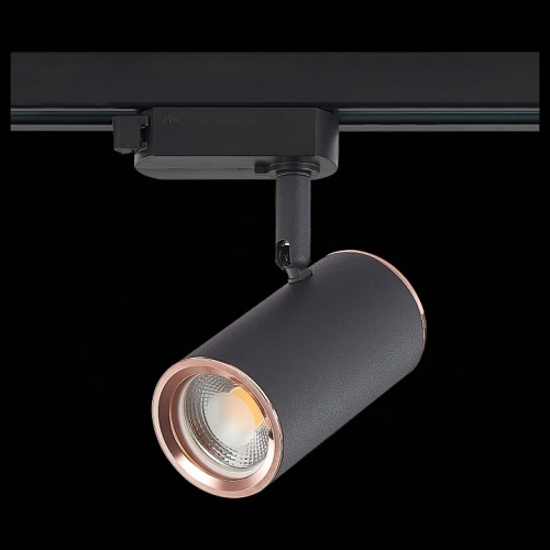 Светильник на штанге ST-Luce Cromi ST301.426.01 в Нижнем Новгороде фото 8