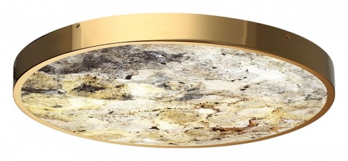 Накладной светильник Odeon Light Bergi 5079/50L в Нижнем Новгороде фото 3