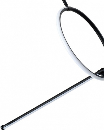 Светильник на штанге Zortes Dasy ZRS.57787.49 в Нижнем Новгороде фото 3