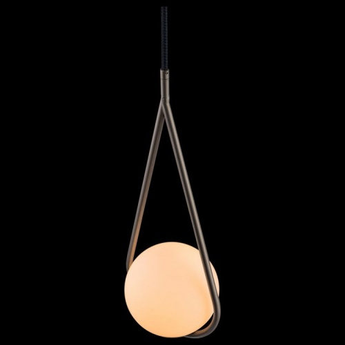 Подвесной светильник Loft it Glob LOFT2599-B в Нижнем Новгороде фото 2