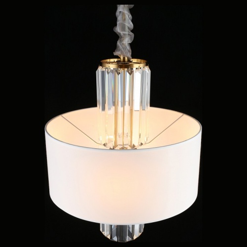 Подвесной светильник Aployt Karola APL.841.13.04 в Нижнем Новгороде фото 11