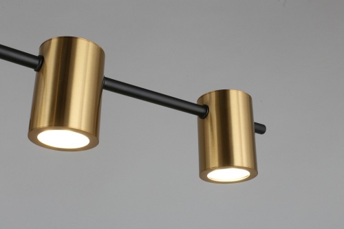 Потолочная люстра Aployt Elwisia APL.633.07.10 в Нижнем Новгороде фото 2