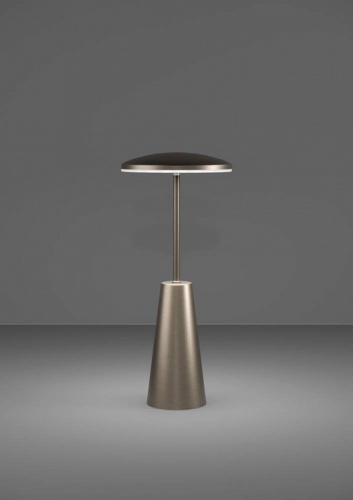 Настольная лампа декоративная Eglo PICCOLA 900924 в Нижнем Новгороде фото 4