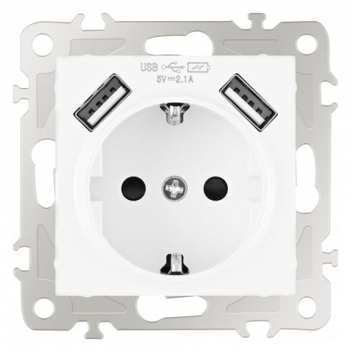 Розетка с заземлением и со шторкой и 2хUSB, без рамки Arte Milano am-206 206.47-1.white в Нижнем Новгороде