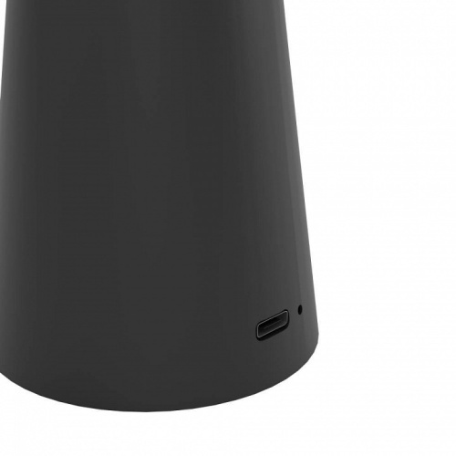 Настольная лампа декоративная Eglo PICCOLA 900925 в Нижнем Новгороде фото 6