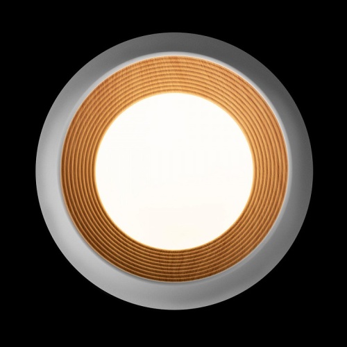 Накладной светильник Loft it Folk 10255/350 White в Нижнем Новгороде фото 5