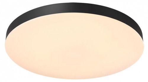 Накладной светильник Sonex Gamma 7760/50L в Нижнем Новгороде фото 7