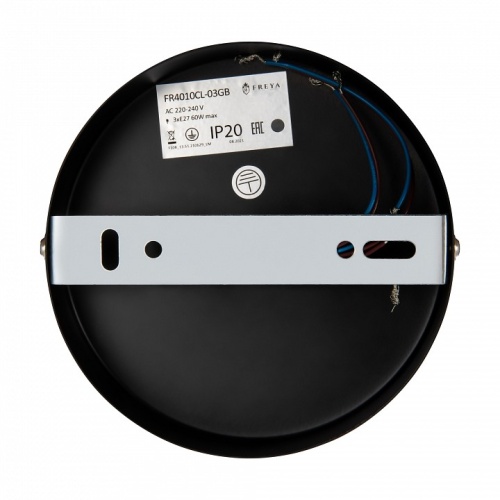 Люстра на штанге Freya Matis FR4010CL-03GB в Нижнем Новгороде фото 14