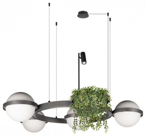 Подвесная люстра Loft it Jardin 10121/4 Dark grey в Нижнем Новгороде фото 5