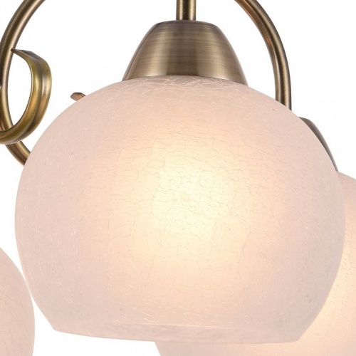 Подвесная люстра Arte Lamp Margo A9317LM-5AB в Владивостоке фото 4