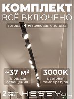 Комплект трековый Hesby Lighting Skylite №13 HSBL_kompl_S013_VI4B3K в Нижнем Новгороде