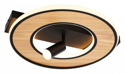 Накладной светильник F-promo Olika 4438-2C в Нижнем Новгороде