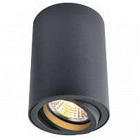 Накладной светильник Arte Lamp Sentry A1560PL-1BK в Кизилюрте