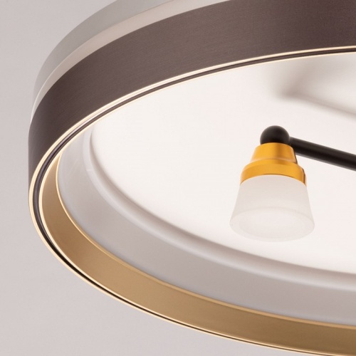 Потолочная люстра De City Семья 66 660014701 в Нижнем Новгороде фото 2