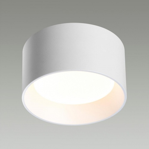 Накладной светильник Odeon Light Oben 6622/10CL в Владивостоке фото 4