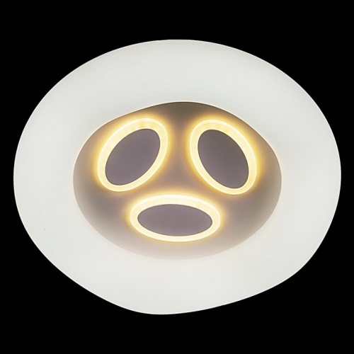 Накладной светильник 10008-0.3-80W PLANET в Нижнем Новгороде фото 3