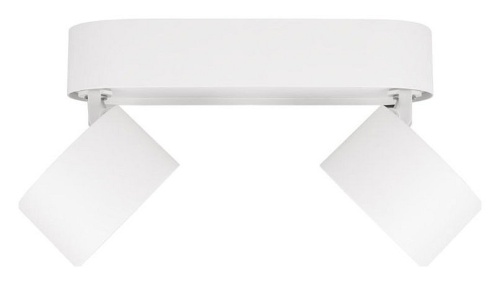 Спот Loft it Focus 10323/2A White в Нижнем Новгороде фото 4