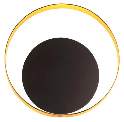 Накладной светильник Odeon Light Mondy 3899/7WB в Нижнем Новгороде фото 5