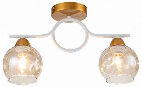 Накладной светильник Escada MUSE 1100/2P в Нижнем Новгороде