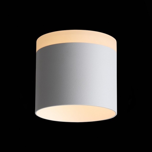 Накладной светильник ST-Luce Panaggio ST102.502.12 в Нижнем Новгороде фото 2