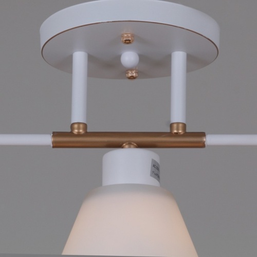 Люстра на штанге  07594-0.3-03 WG в Нижнем Новгороде фото 5