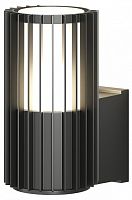 Светильник на штанге Denkirs Farsun DK9722-BK в Нижнем Новгороде