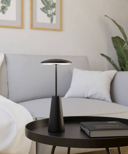 Настольная лампа декоративная Eglo PICCOLA 900925 в Нижнем Новгороде фото 2