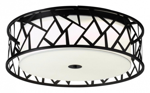 Накладной светильник Sonex Fabiana 7700/60L в Нижнем Новгороде фото 3