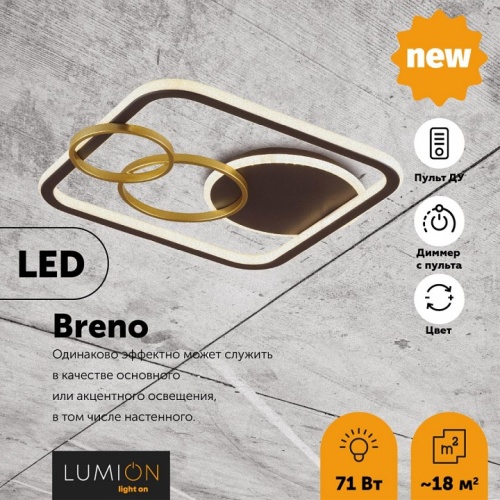 Накладной светильник Lumion Breno 5246/71CL в Нижнем Новгороде фото 3