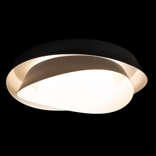 Накладной светильник Loft it Petale 10256 Black в Нижнем Новгороде фото 4