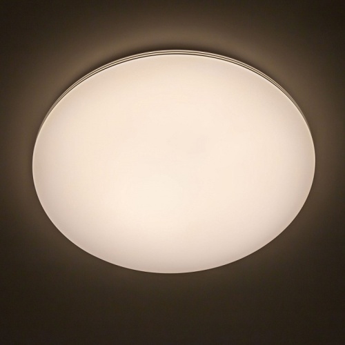 Накладной светильник Citilux Симпла CL714900G в Белом фото 11