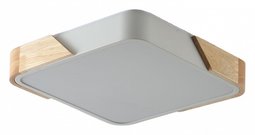 Накладной светильник Zortes Alberro ZRS.01285.60 в Нижнем Новгороде фото 4