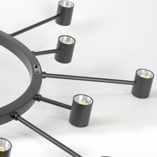 Подвесная люстра Lussole Hopkins LSP-7407 в Нижнем Новгороде фото 4