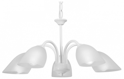 Подвесная люстра Vitaluce V3336 V3336/5 в Нижнем Новгороде