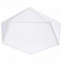 Накладной светильник Arte Lamp Multi-Piazza A1931PL-1WH в Нижнем Новгороде