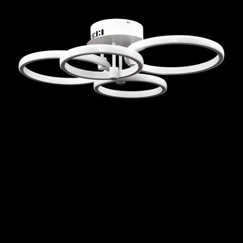 Накладной светильник Freya  FR10018CL-L40W в Нижнем Новгороде фото 5