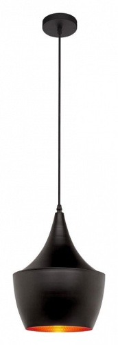 Подвесной светильник Loft it Beat LOFT1843/A в Нижнем Новгороде фото 2