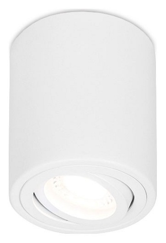 Накладной светильник Ambrella Light TN TN225 в Нижнем Новгороде