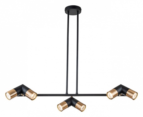 Люстра на штанге Indigo Doppio 11036/6R Black в Нижнем Новгороде фото 4