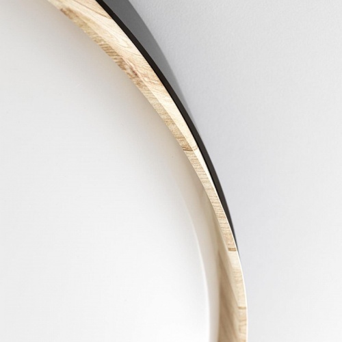 Накладной светильник Citilux BONNY CL754451G в Нижнем Новгороде фото 10