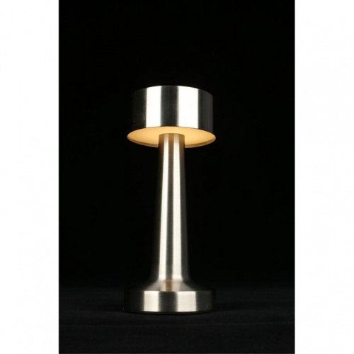 Настольная лампа декоративная Aployt Perrayn APL.671.14.01 в Нижнем Новгороде фото 6