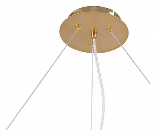 Подвесная люстра F-promo Bliss 2771-12P в Нижнем Новгороде фото 2