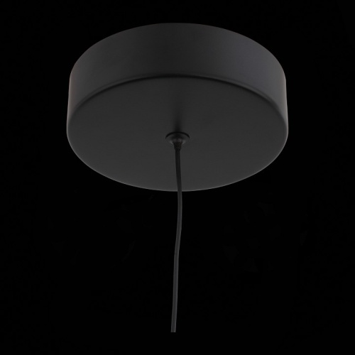 Подвесной светильник ST-Luce Bisaria SL393.403.01 в Белокурихе фото 8