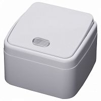 Выключатель одноклавишный с подсветкой Stekker Basic 39029 в Нижнем Новгороде