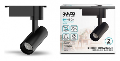 Светильник на штанге Gauss TR TR076 в Нижнем Новгороде фото 3