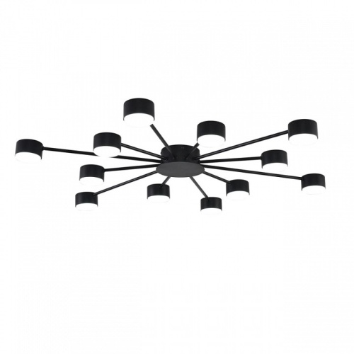 Потолочная люстра Lumion TORINA 8344/12C в Нижнем Новгороде фото 3