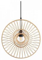 Подвесной светильник Lumion ECO 8383/1 в Нижнем Новгороде